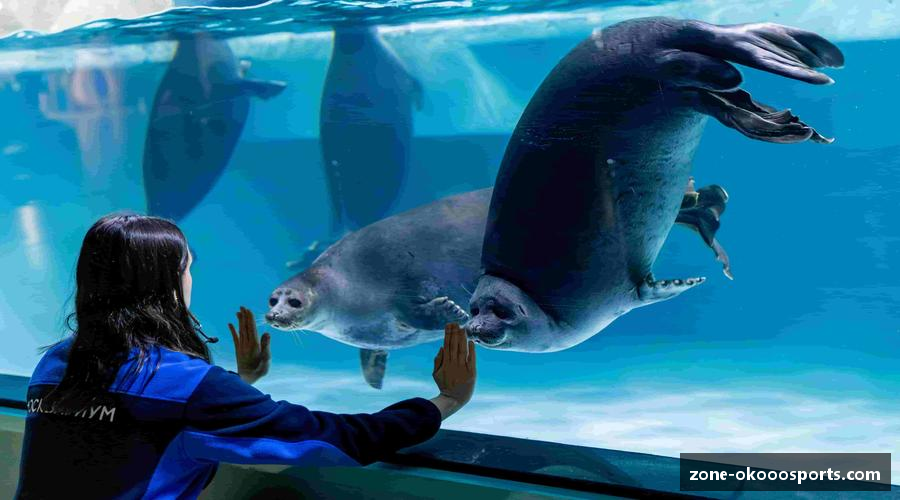 探索okooo-澳客注册登录